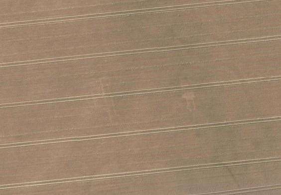 Crop markings in the field near Trottiscliffe show the outline of the villa, with the smaller bathhouse to the right. Image: Google Earth