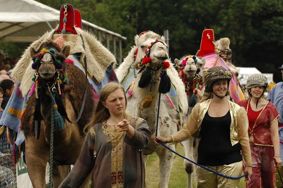 Intrepid show visitors try camel racing