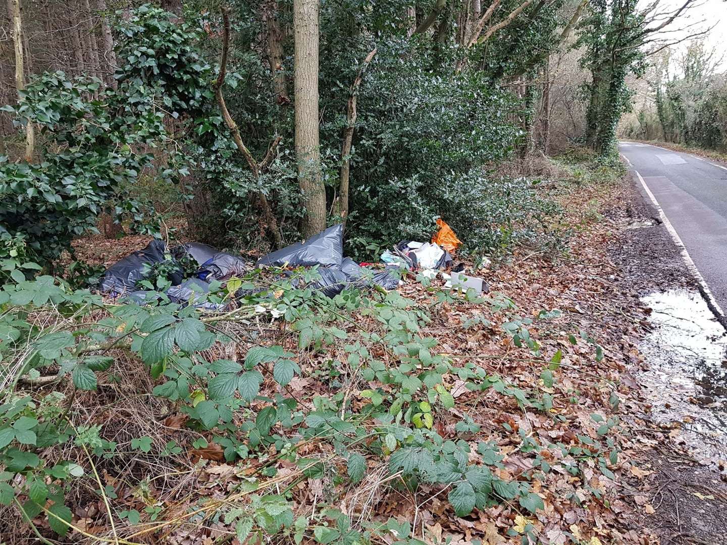 Waste dumped in Hicks Forstal Road, Herne Bay. Picture: Canterbury City Council