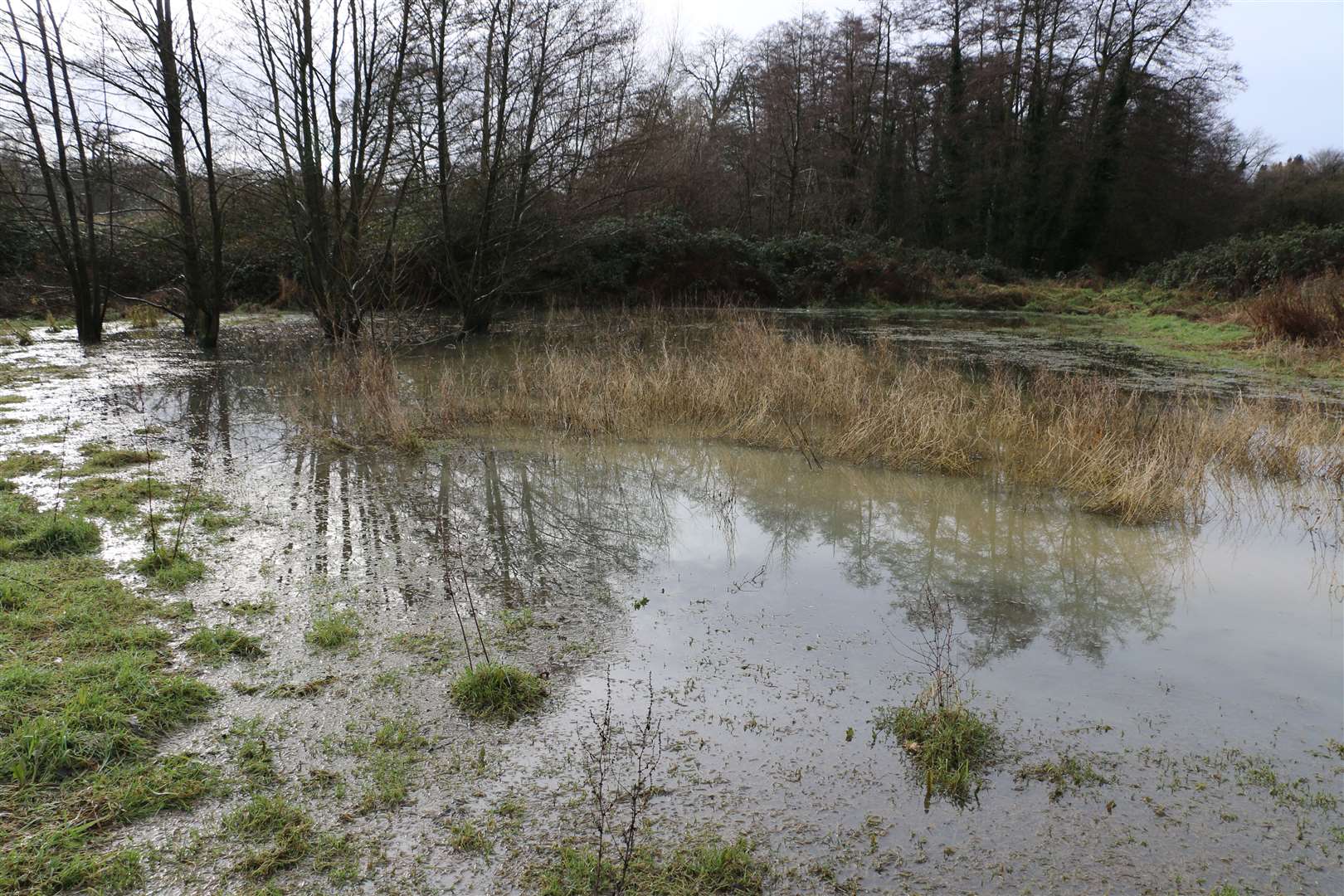 Lilk Meadow when flooded. Picture: Daniel Savage