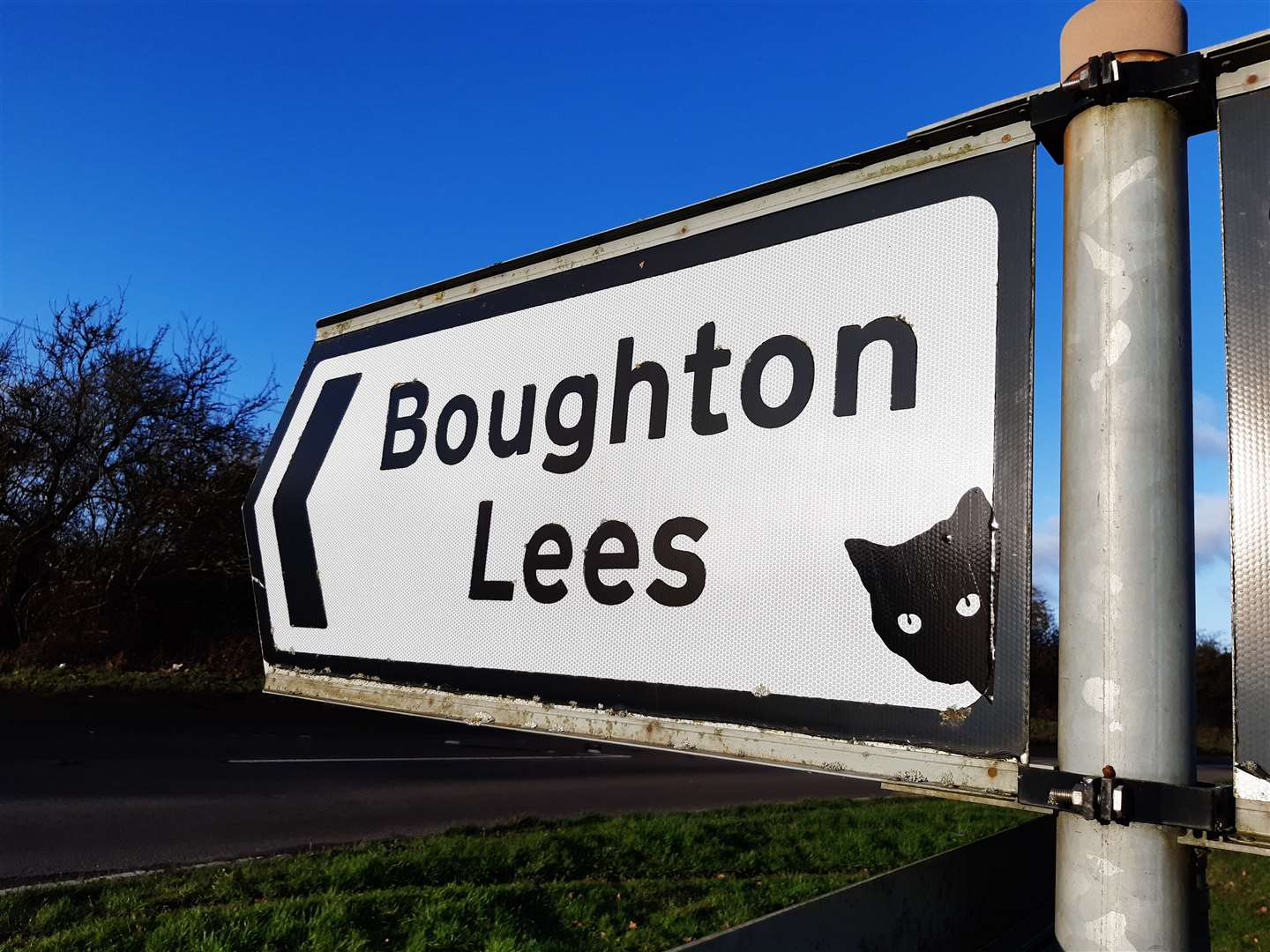 A cat was spotted on a sign at the junction between the A28 and Harville Road just outside Wye