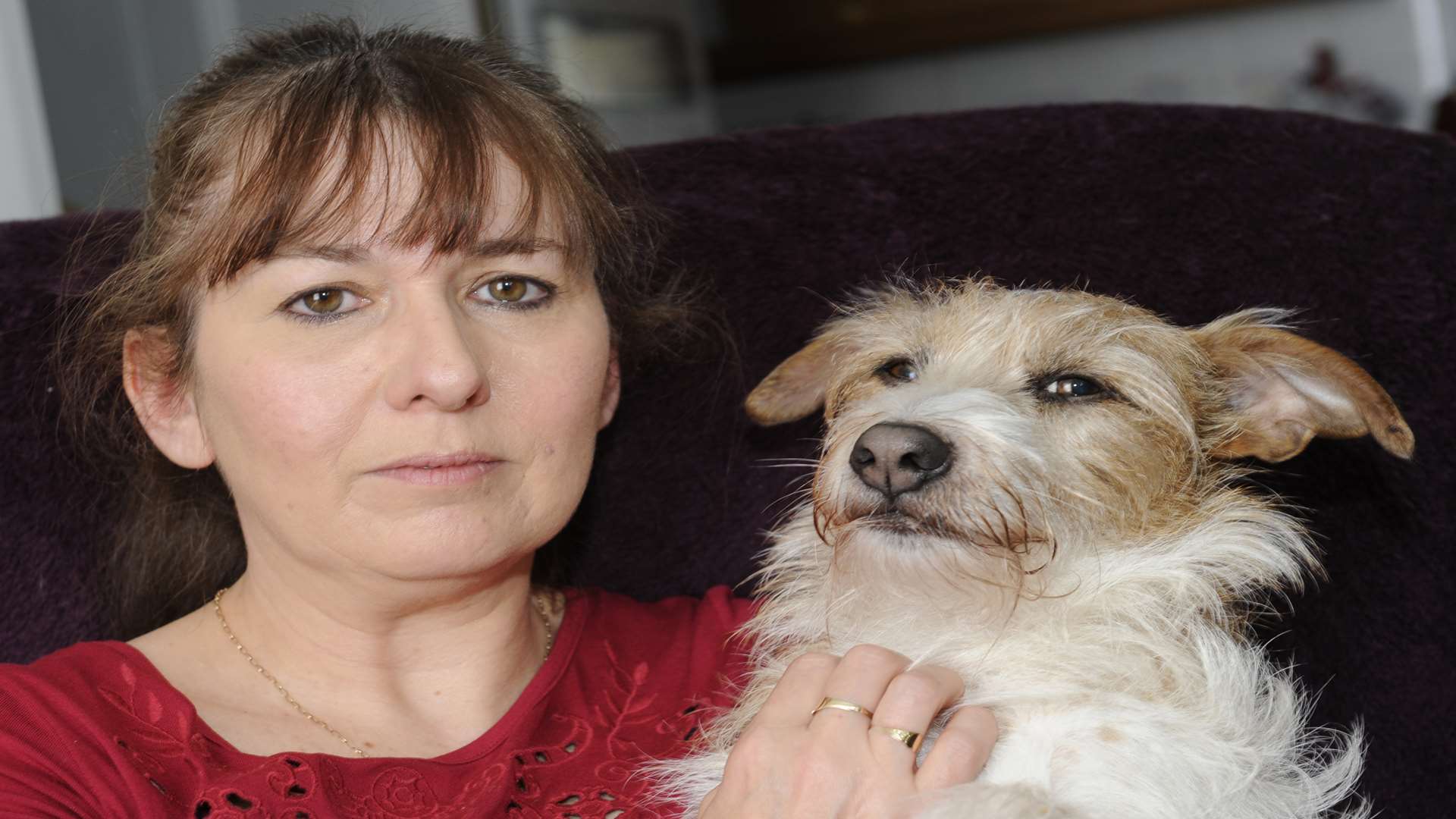 Susan Colley and her dog Bailey were hurt in the attack