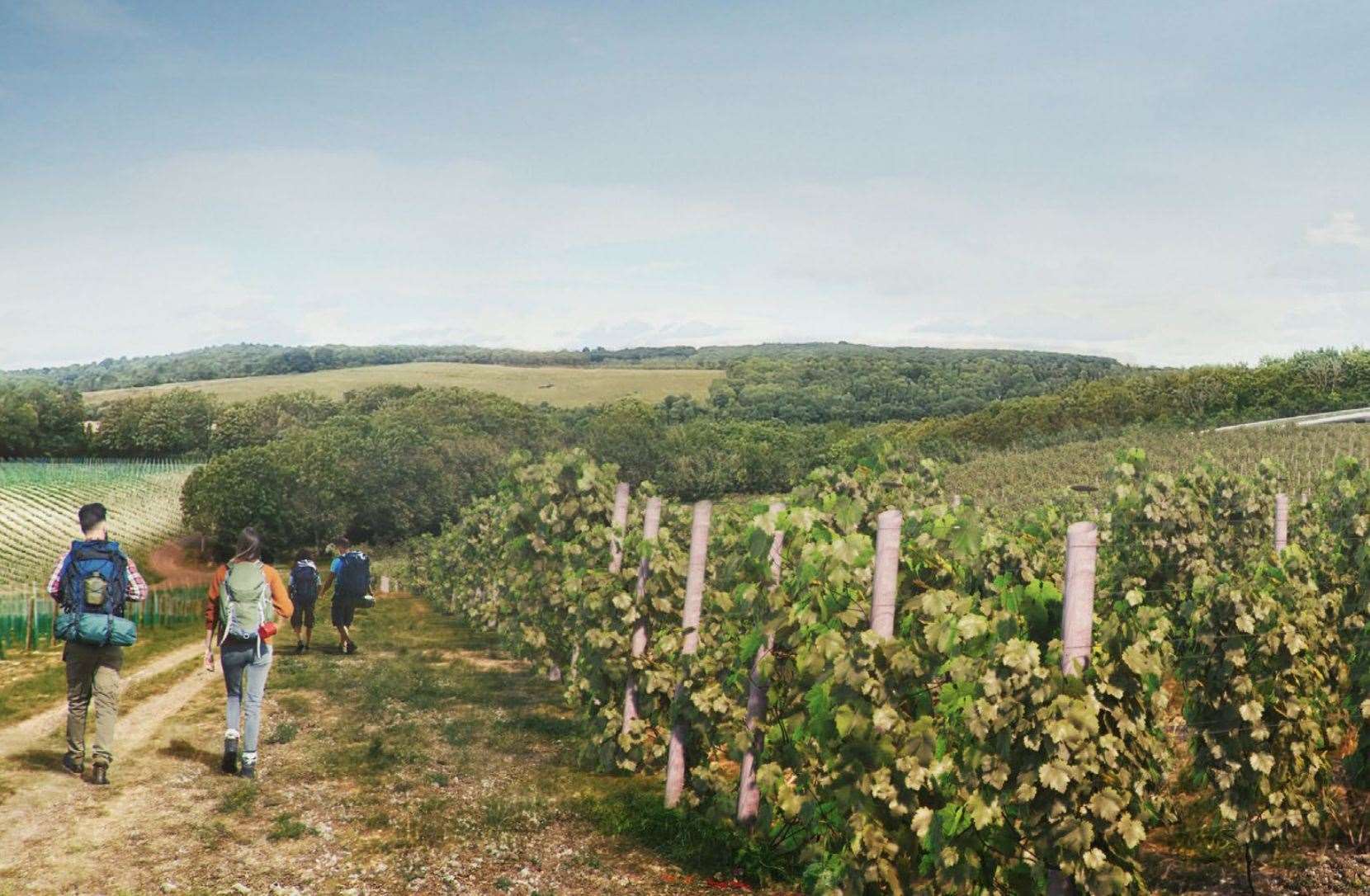 Vineyard Farms Ltd wanted to invest £30 million into the scheme. Picture: Vineyard Farms Ltd/ Foster + Partners