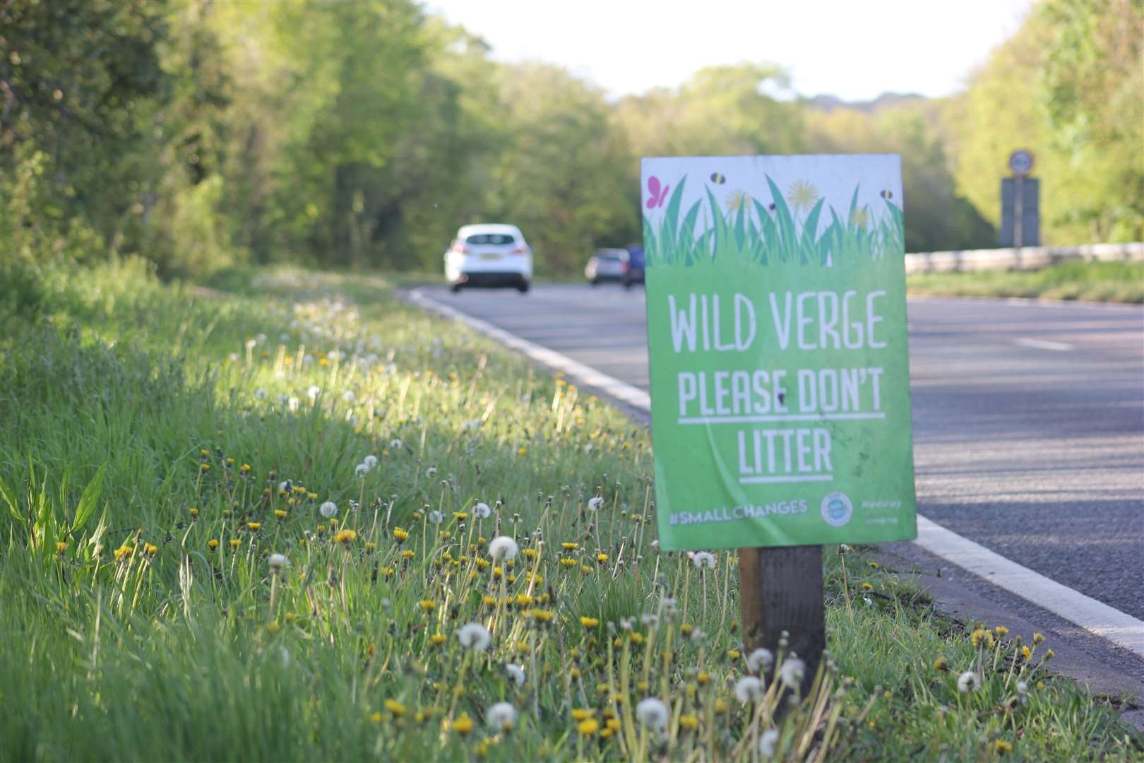 Medway Council introduced it own wild verge programme last year