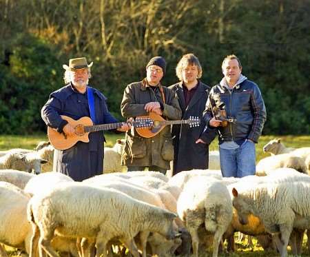 Adrian Edmondson and the Bad Shepherds and some quite obediant sheep
