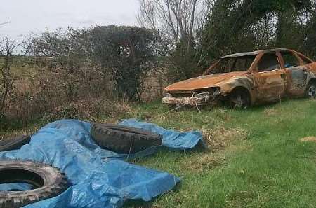 SAD SIGHT: The dead horse, under a tarpaulin, is tethered to the wrecked car. Picture: SARAH MILLER