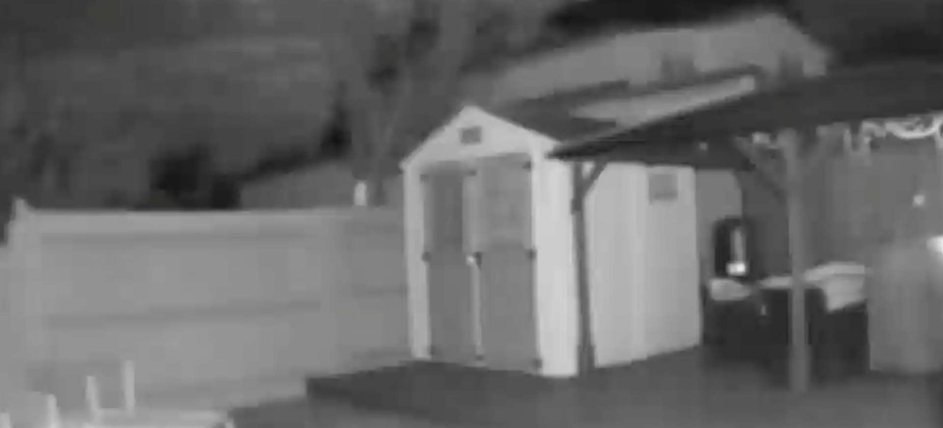 'Brazen' thieves have be captured stealing from sheds on CCTV