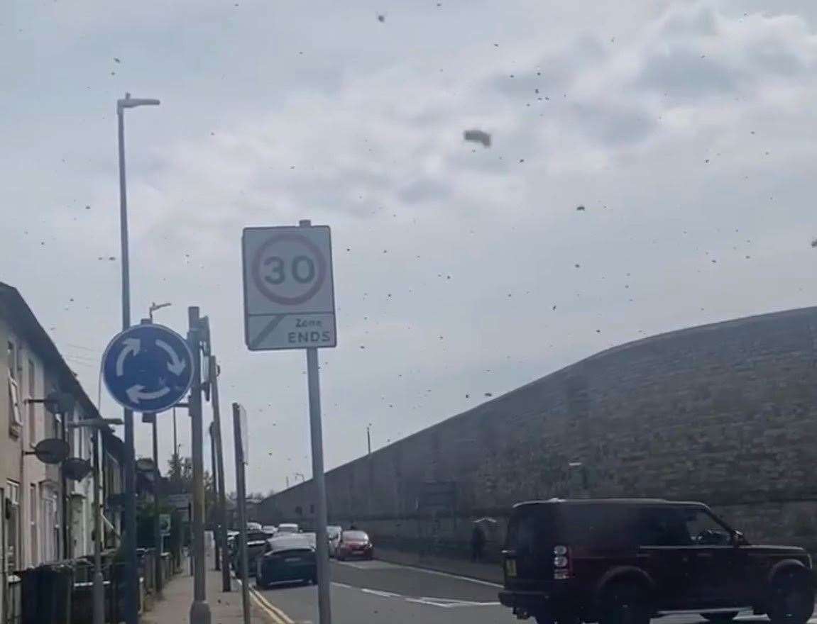 A woman was shocked to see a swarm of bees on her walk home this afternoon