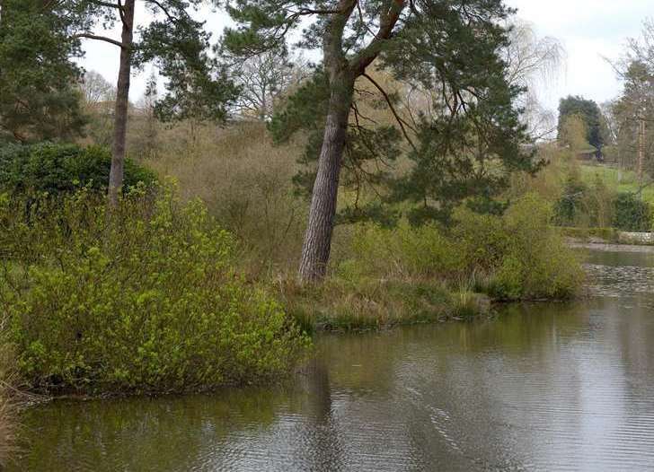 The River Darent runs through Lullingstone Country Park