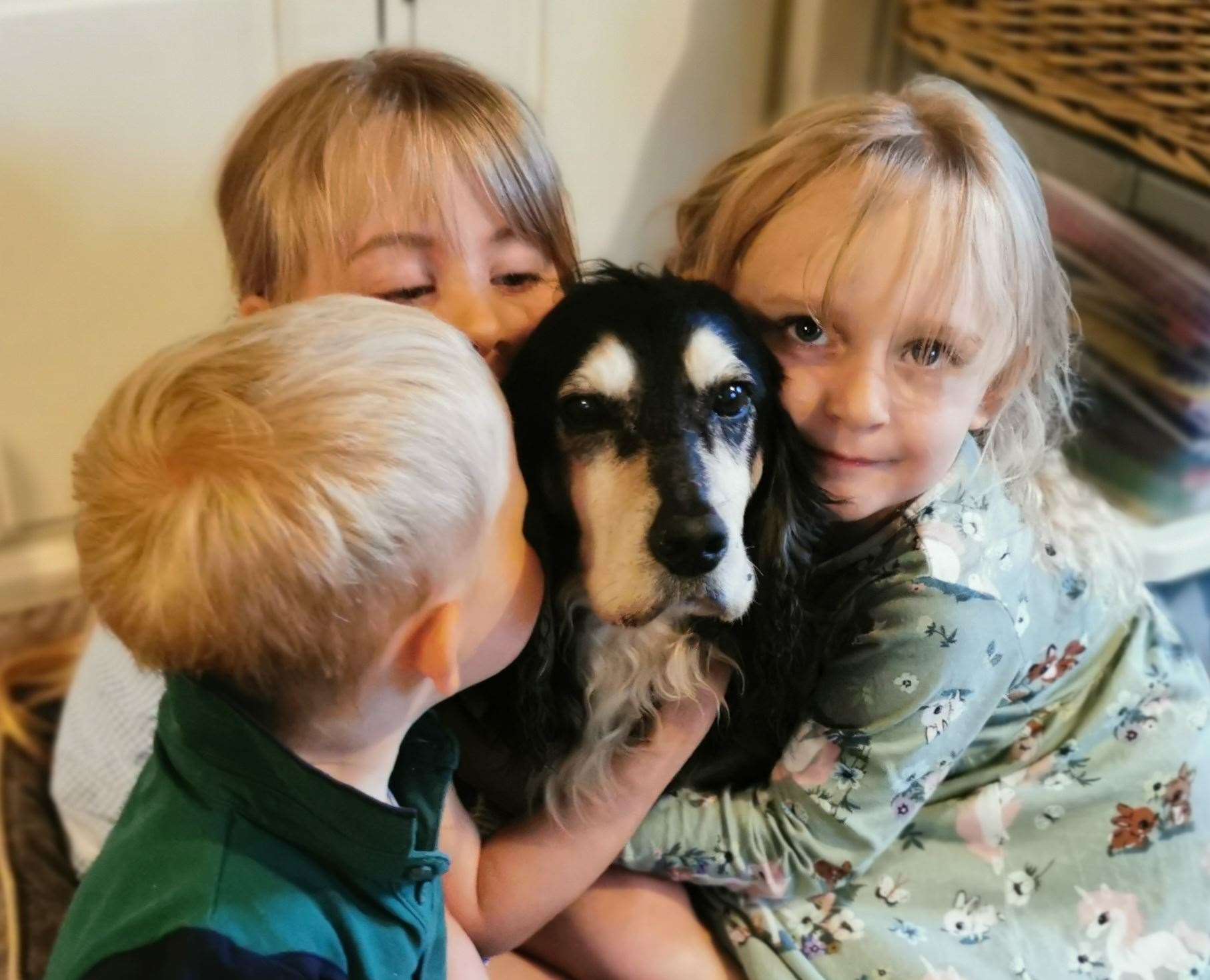 The family were ecstatic when cocker spaniel Lucy was returned