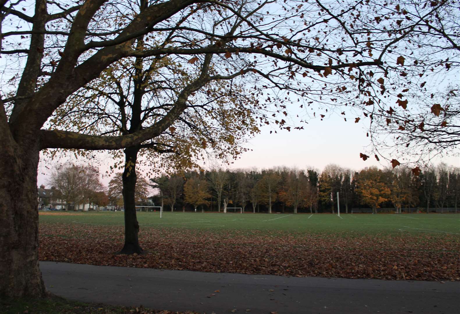 More than 15,000 trees will be planted across Sheppey and Sittingbourne. Picture: Swale council