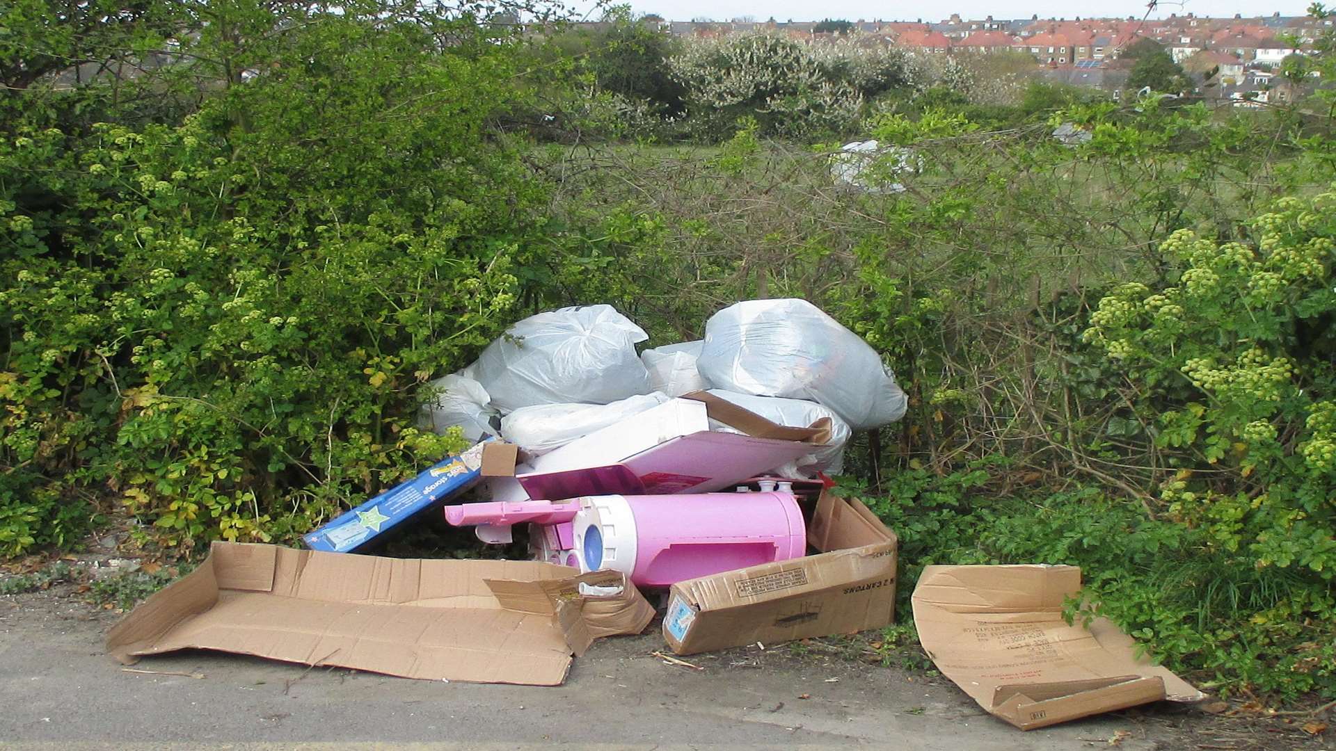 Ian Alexandra pleaded guilty to two offences of flytipping.