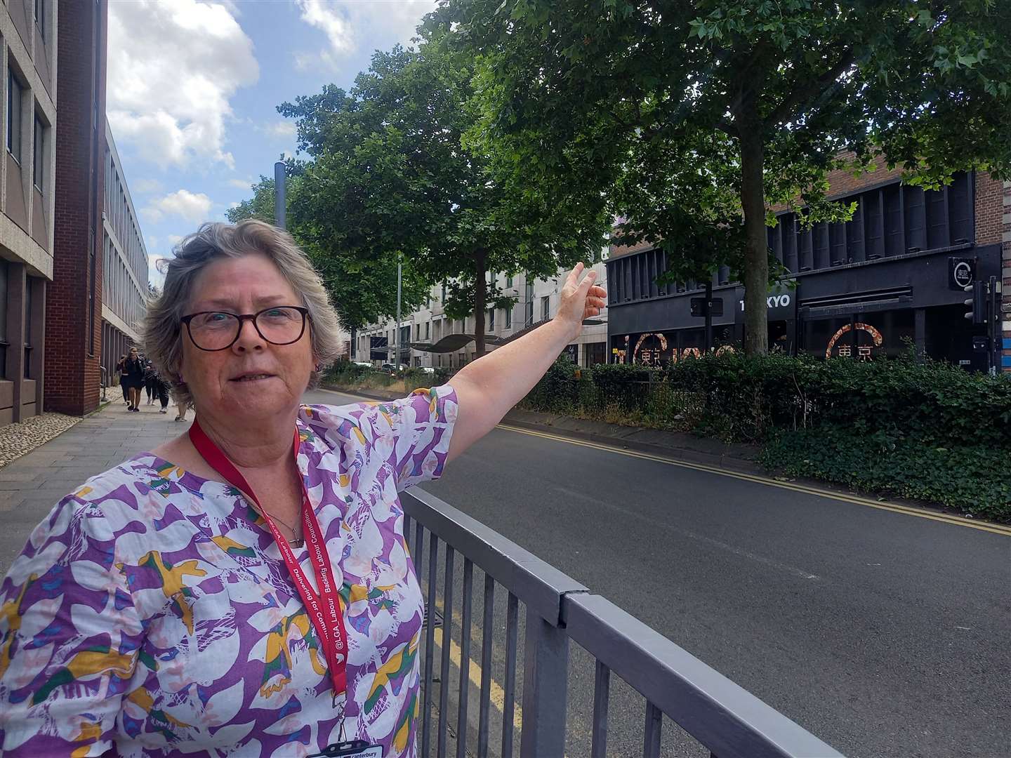 Cllr Connie Nolan wants the trees to remain