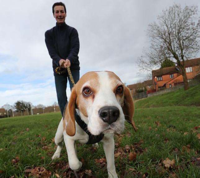 Dog owner Jenny Brown and Tiga go all over the country sniffing out lost dogs