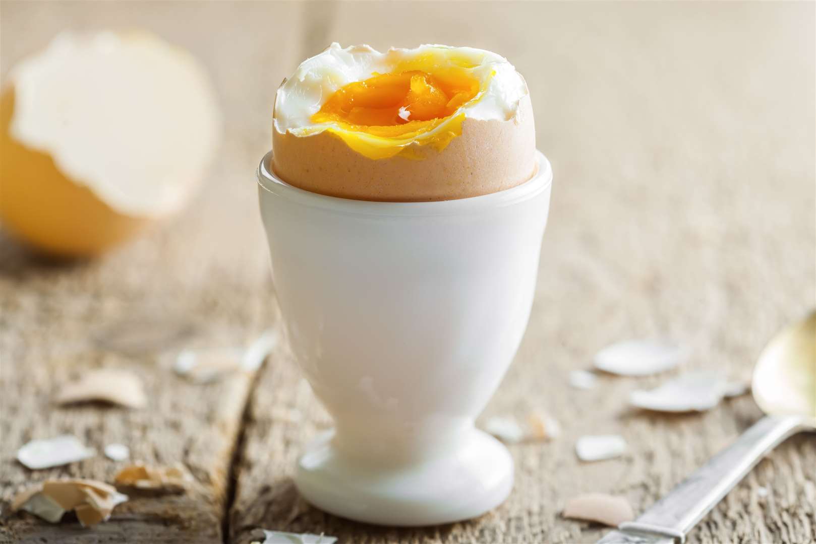 Save those egg shells after breakfast as a protective slug barrier