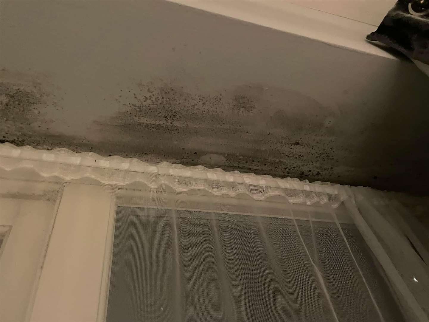 One of the flats I viewed had a serious mould problem (representational image)