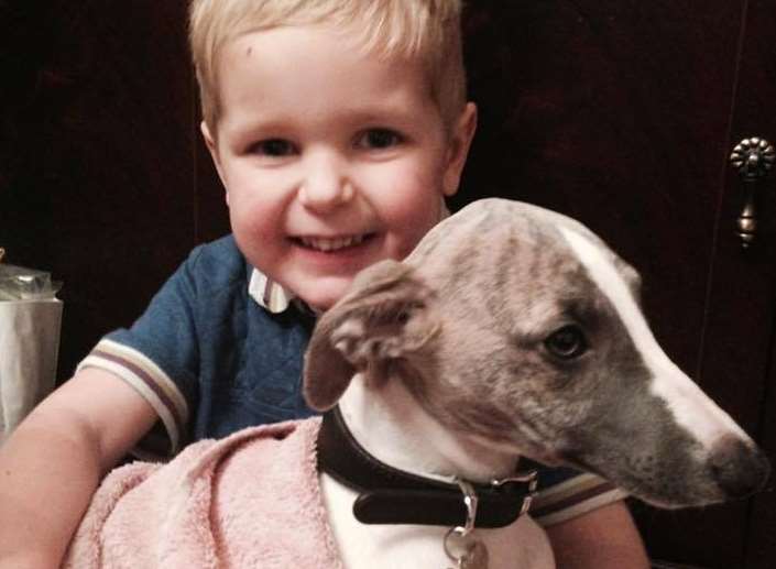Harry, 4, with Dobby who was run over and killed in Bush Road, Cuxton. Picture: Karen Copeland