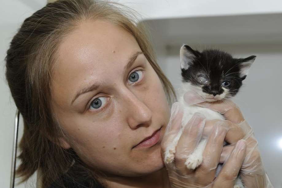 RSPCA deputy manager Tara Luxford with one of the kittens dumped in woods