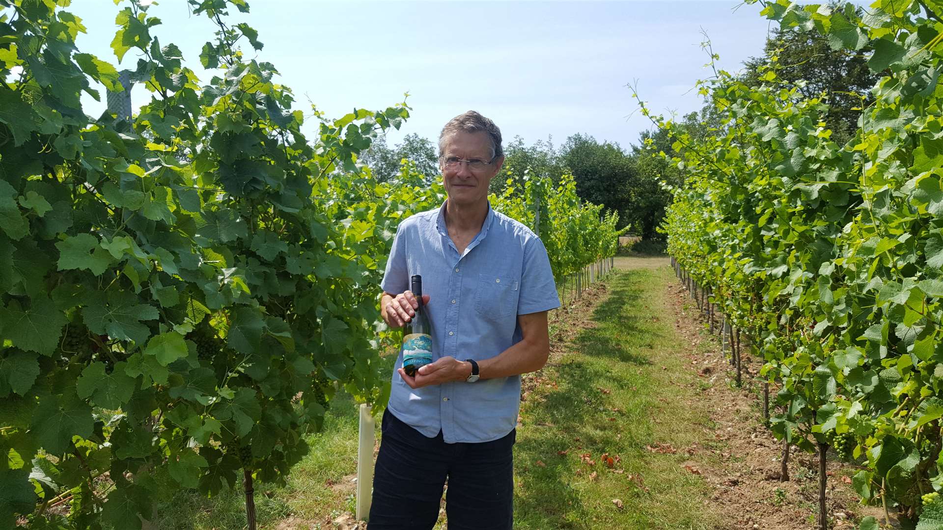 Henry Blaxland in his vineyard (40320639)