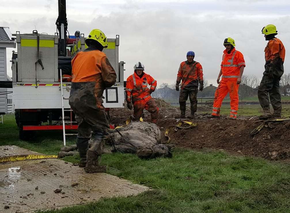 Firefighters and a vet helped rescue Lucky the horse from a ditch on Sheerness marshes on Saturday.