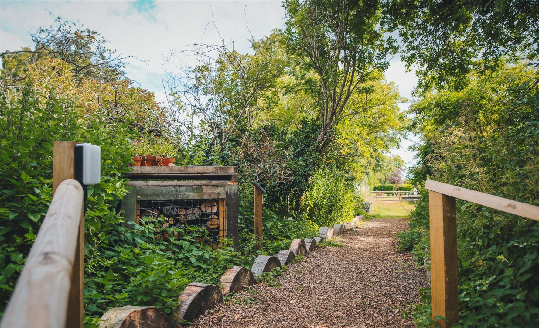The beautiful campsite Hawthorn Farm is surrounded by gardens, orchards and woodland. Picture: Hawthorn Farm