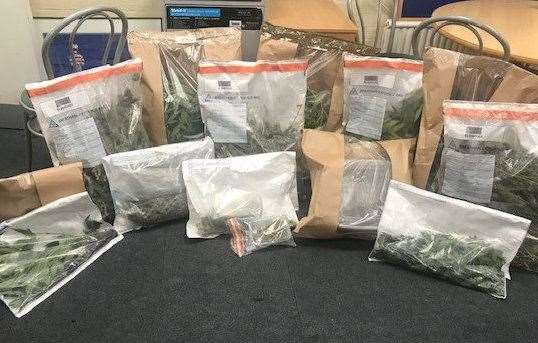 Police have bagged up the plants