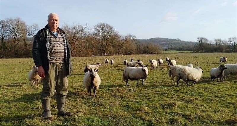Farmer John Dinnis says dog attacks are only getting worse. Picture: Adam Lazzari/NFU