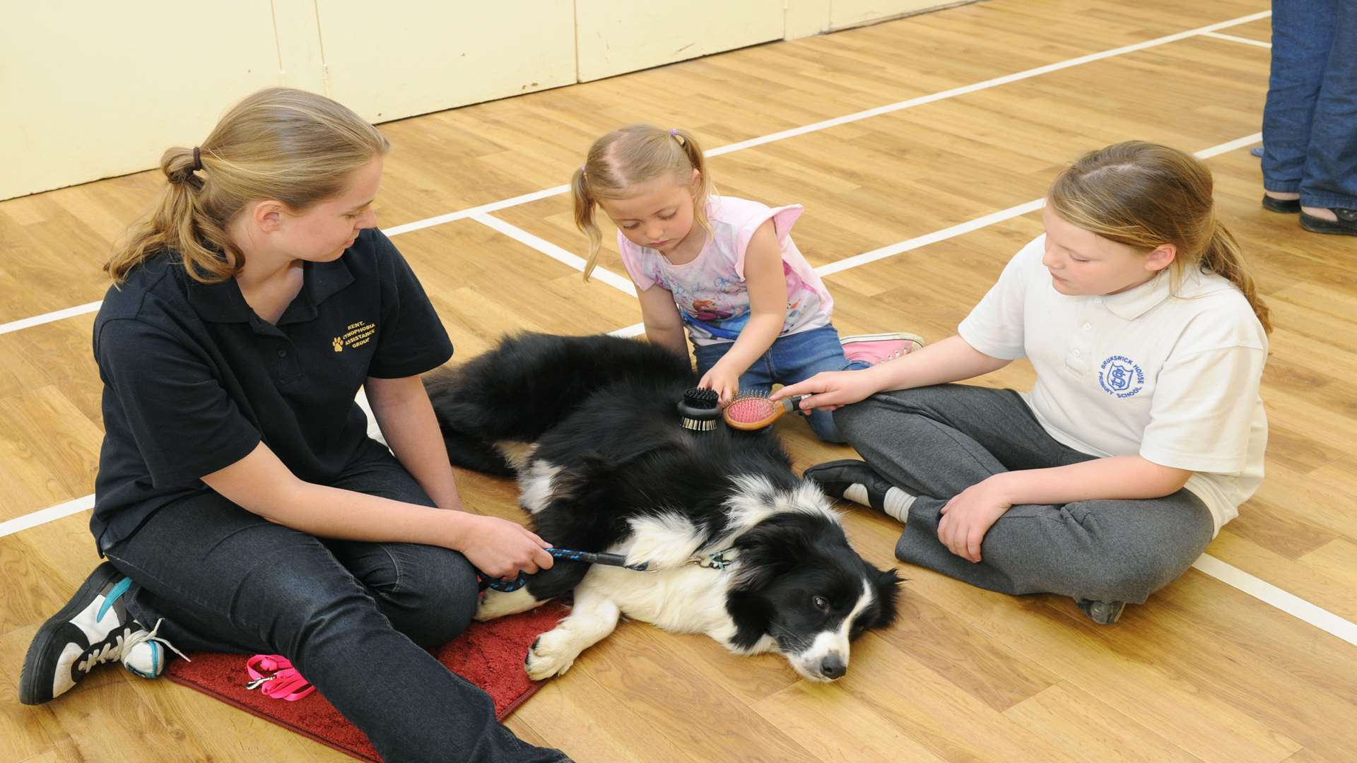 Alex Tourret with her border collie Nyx, who is being brushed by Daisy Tandy 4, and Rachel Zigler, 9. Picture: Simon Hildrew