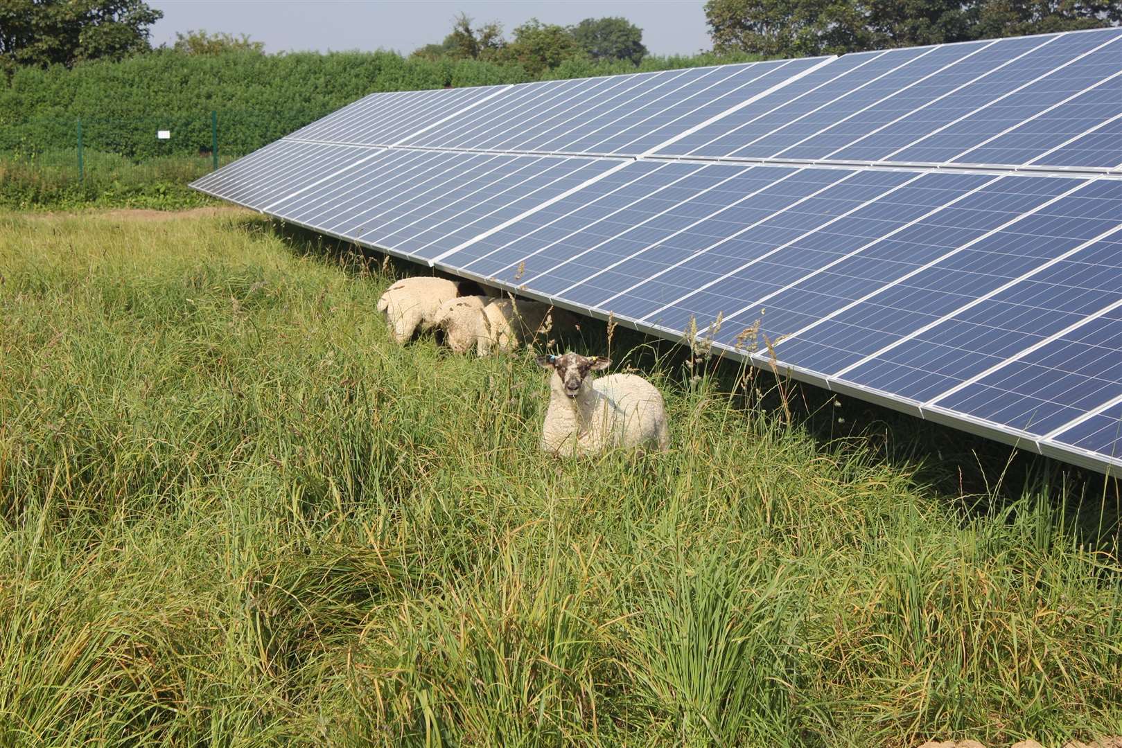 Concerns have been raised about the latest solar farm plan. Stock pic