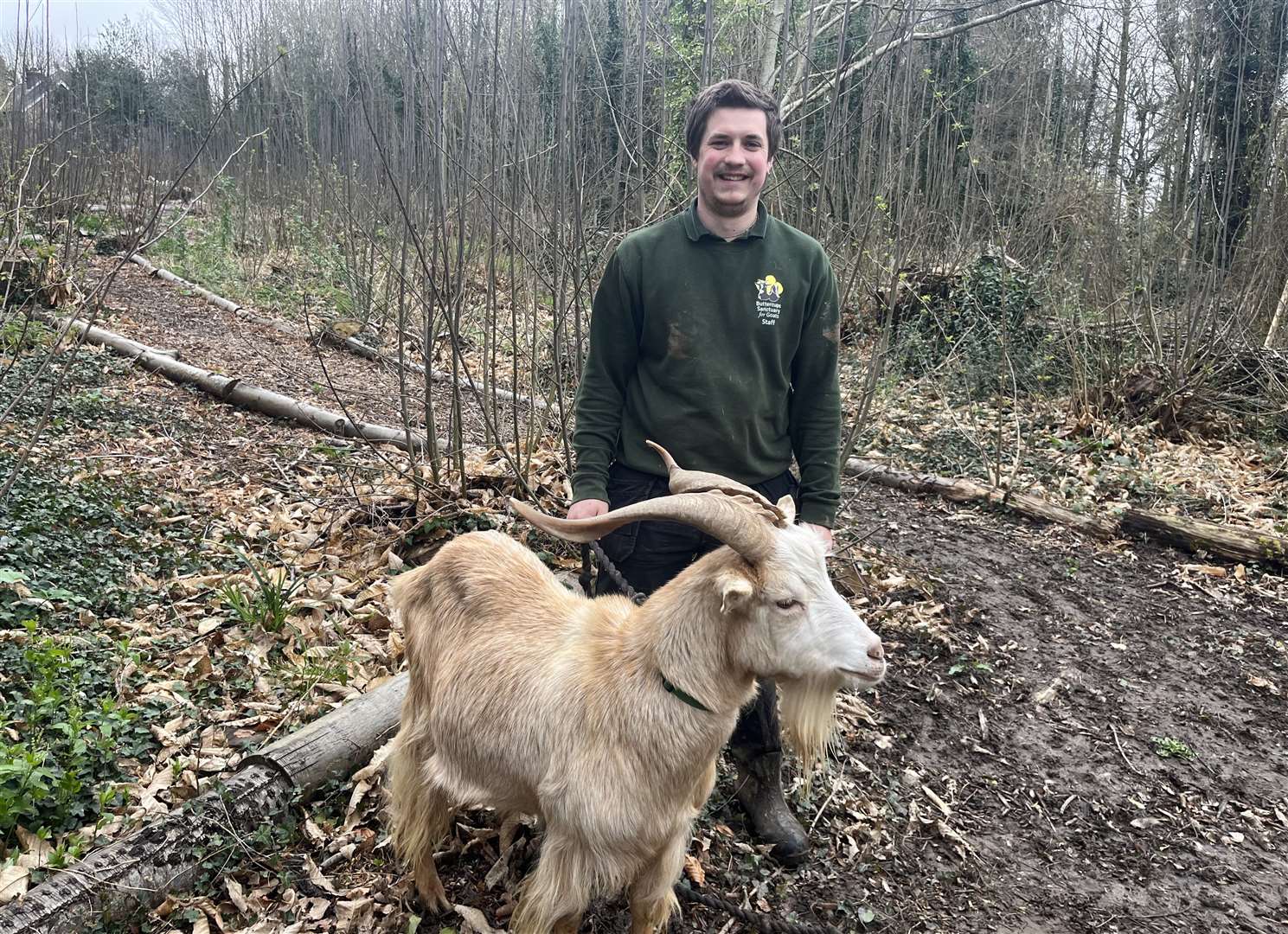 Ben is the head of hoofstock at Buttercups Sanctuary for Goats