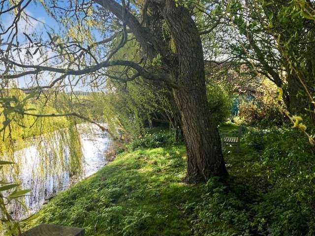 There is quite the scenic view from the back garden of this Romney Marsh home, but it comes at a high price. Photo: Zoopla