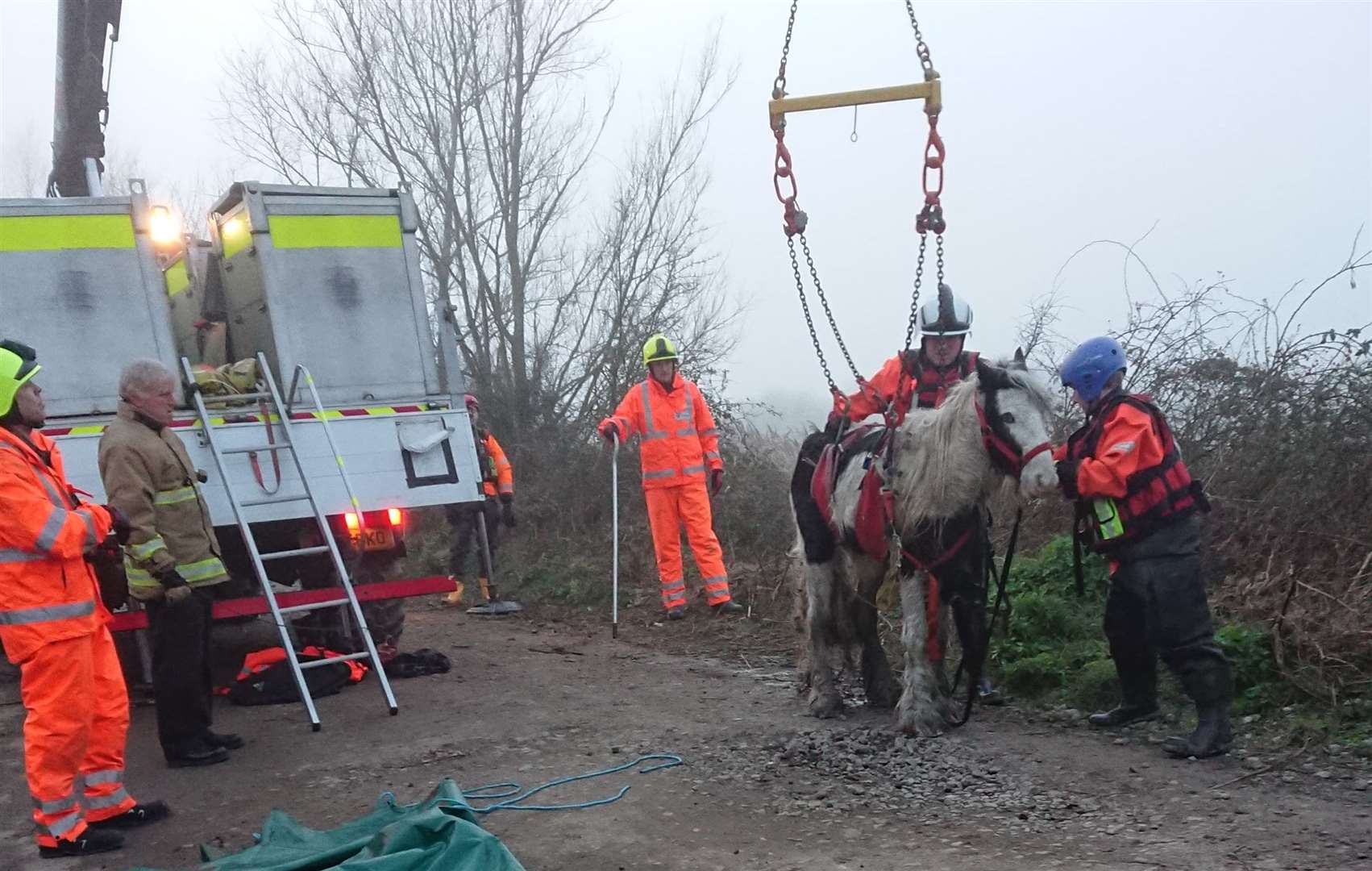 The special machinery being used to hoist another horse to safety in Medway back in February