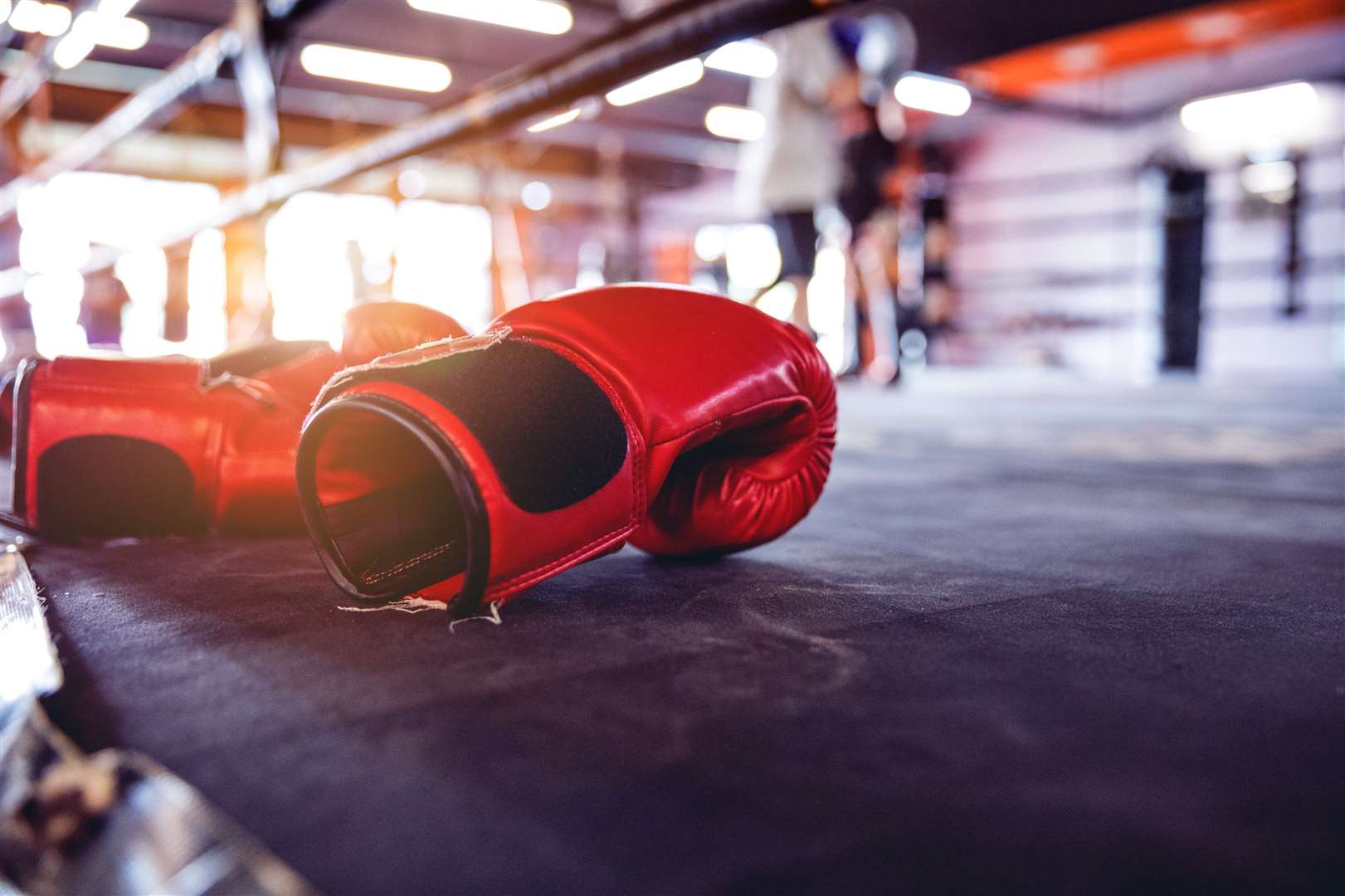 Have you tried boxercise yet?