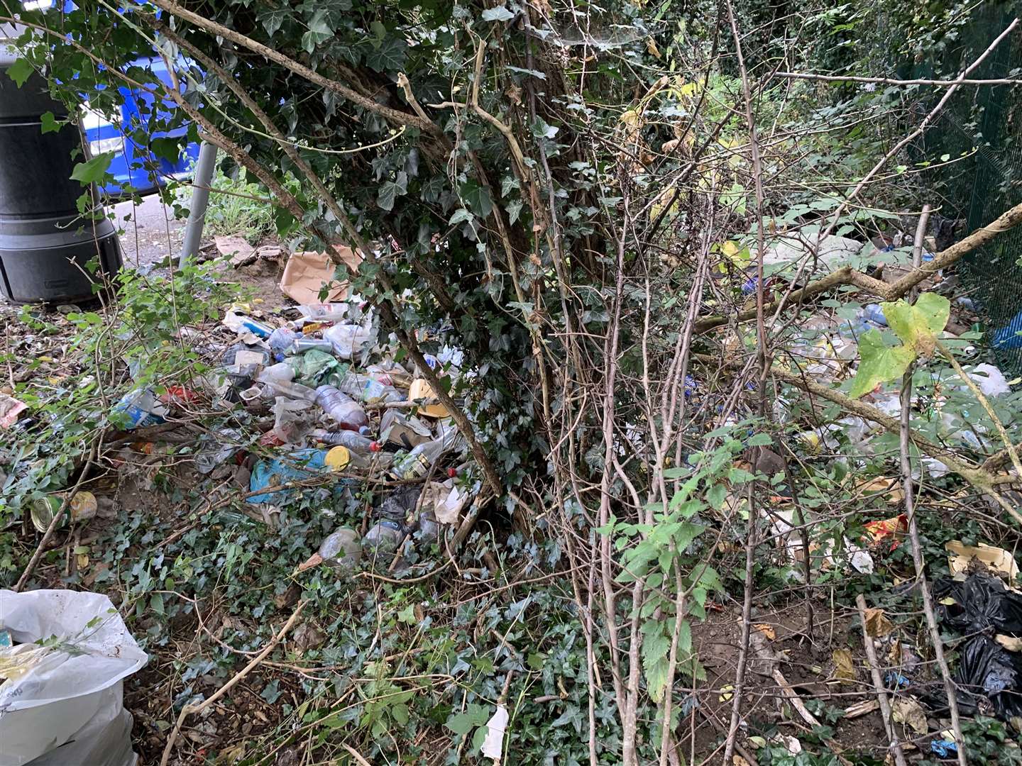 The bushes in the layby in Malling Road are coated with litter on a daily basis. Picture: Joe Francomb