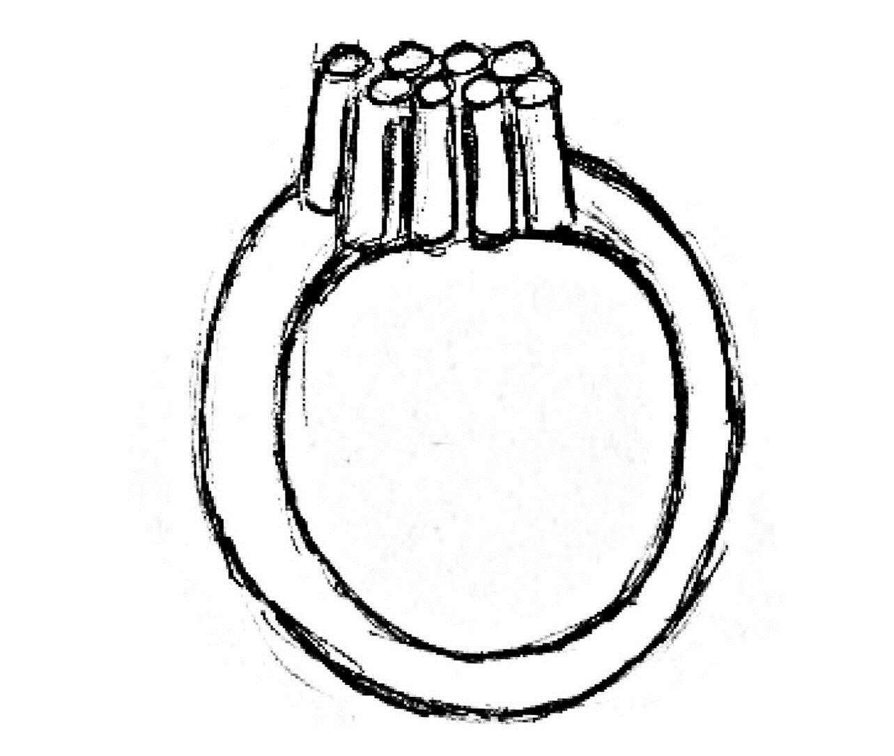 A sketch of the lost ring (6498616)