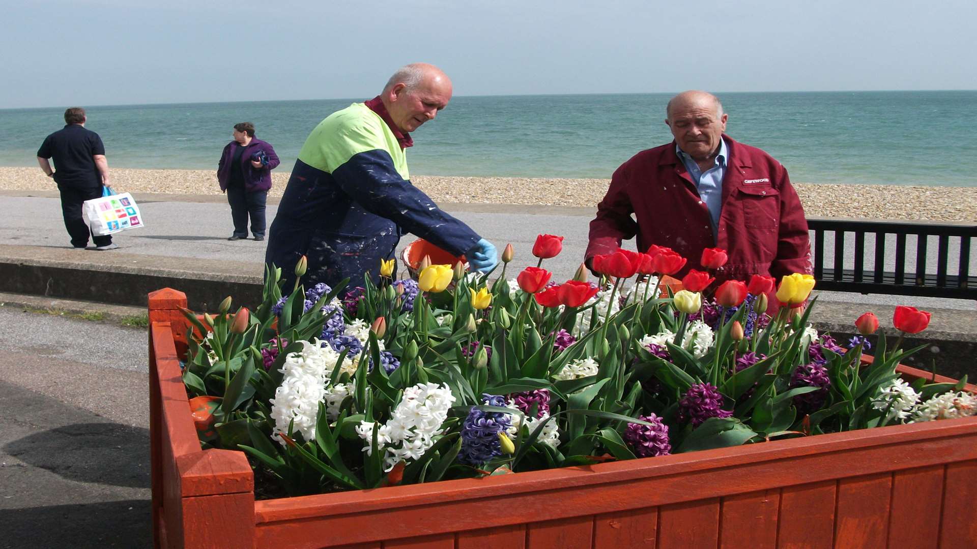 Councillors Adrian Friend and Wayne Elliot help maintain the planters on Deal sea front
