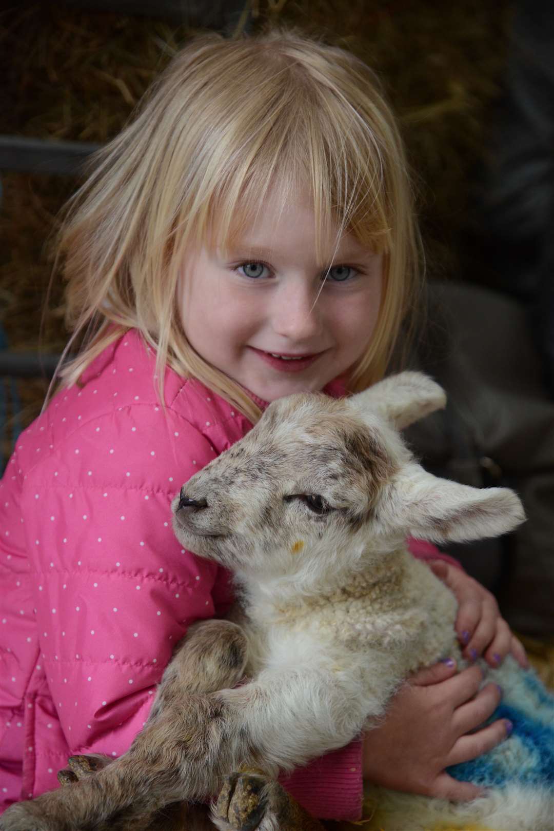 Sylvie Davis, four, at the Lambing weekend, Broadlees Farm, Dover