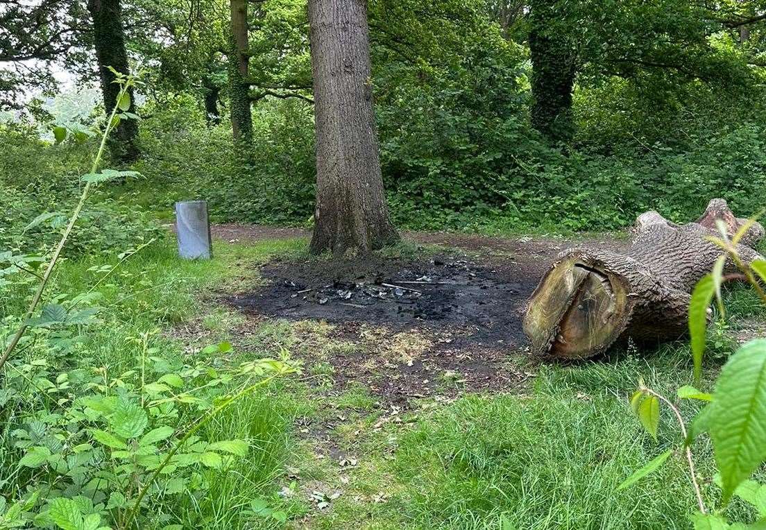 A number of small fires in Park Wood woods have left behind damaged grass and woodland