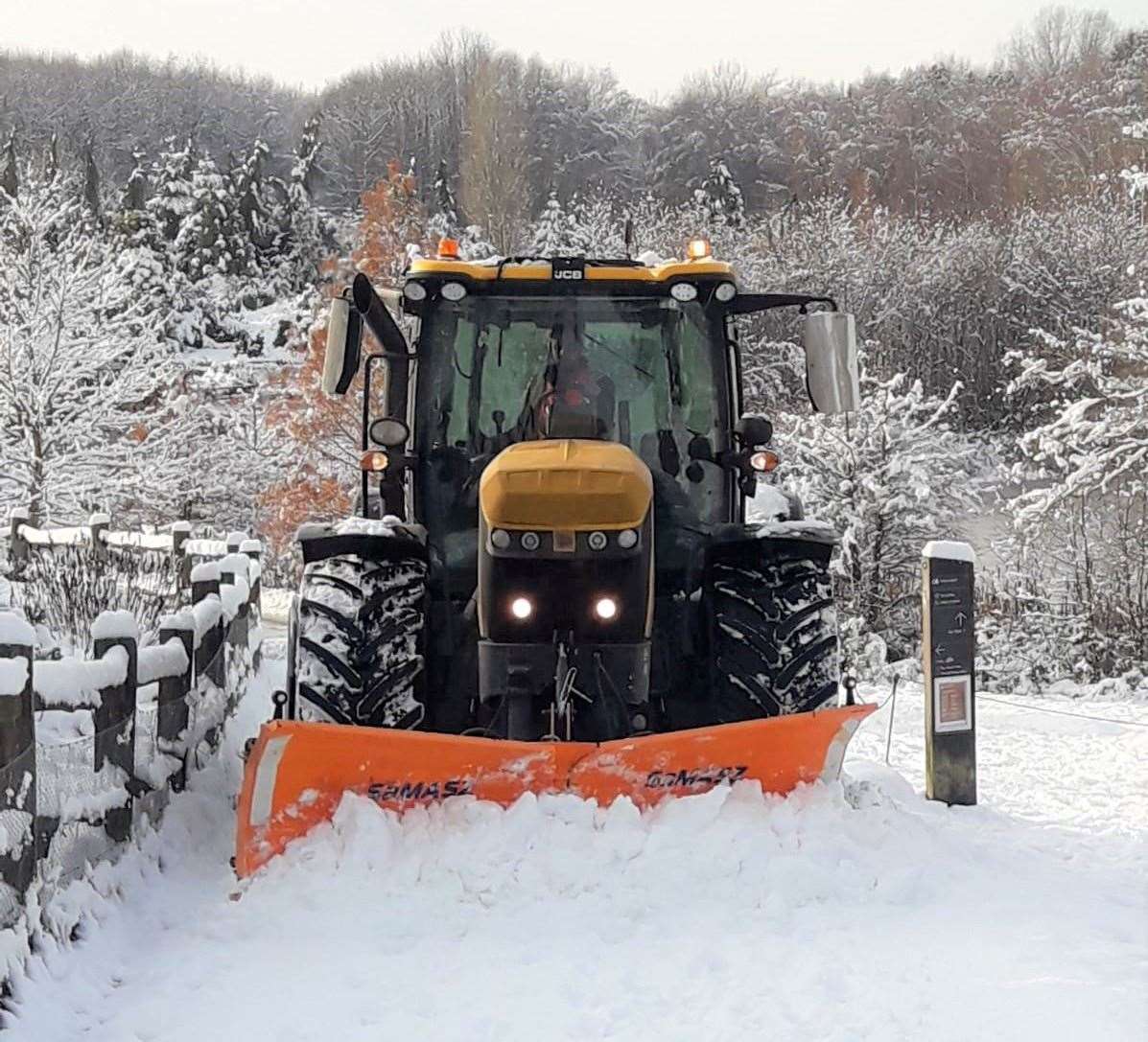 Workers have been busy clearing the park of snow. Picture: Bedgebury Pinetum Facebook