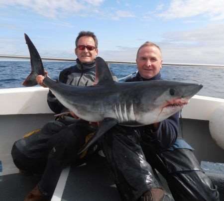 Canterbury angler Andrew Griffith (tail end) with a 90lb Porbeagle shark caught off the coast of Wales