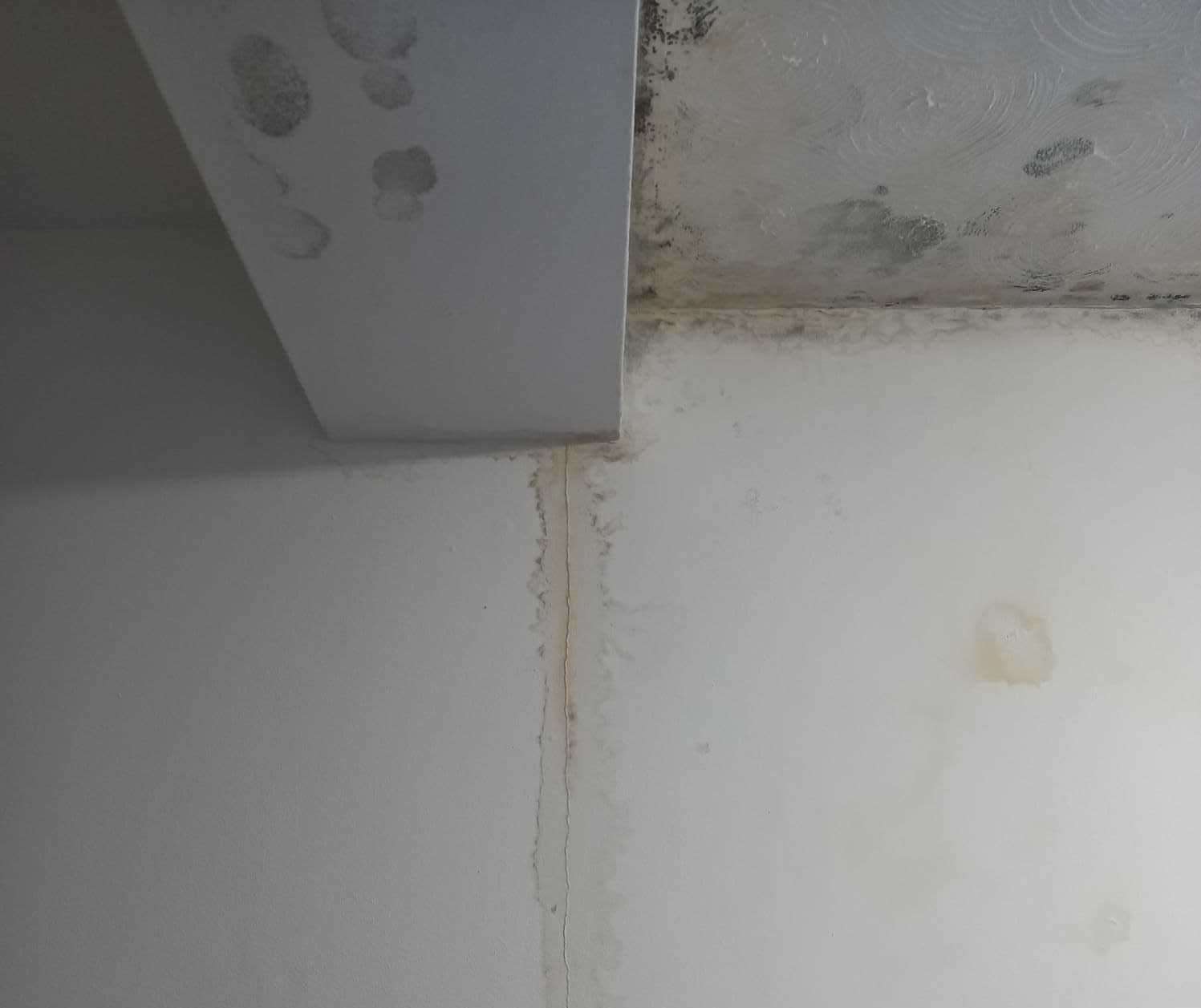 Mould and damp on the walls and ceiling in Gemma Cushing’s emergency accommodation in Dover