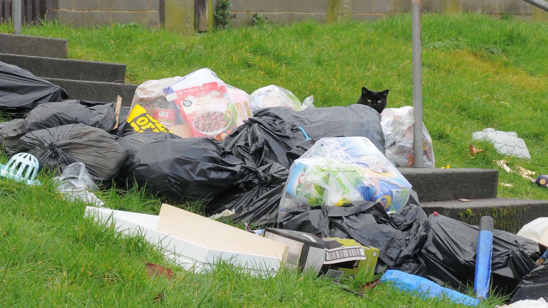 People face £75 fines for putting rubbish out at the wrong time