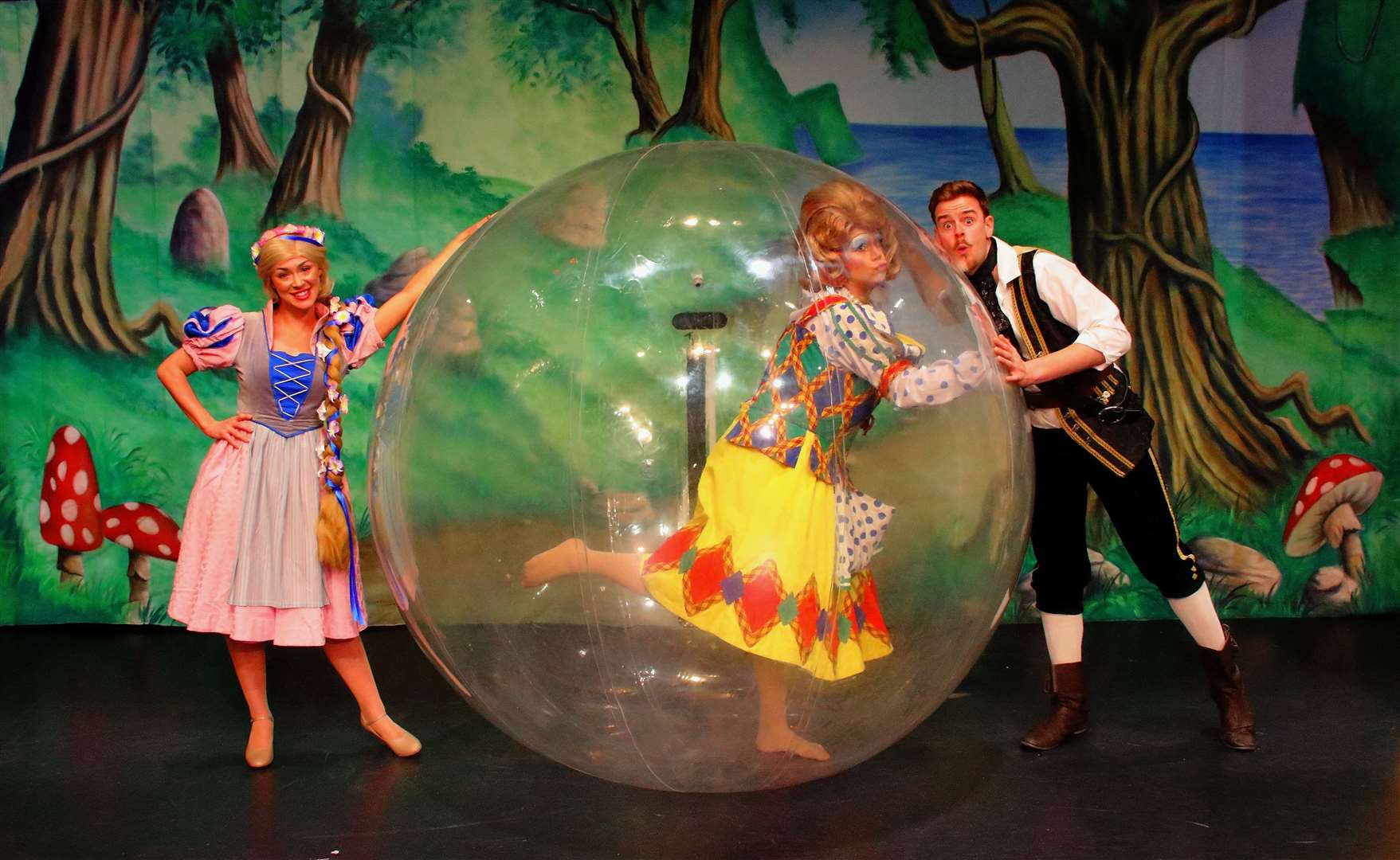 The first performances of Rapunzel at the Woodville have been cancelled