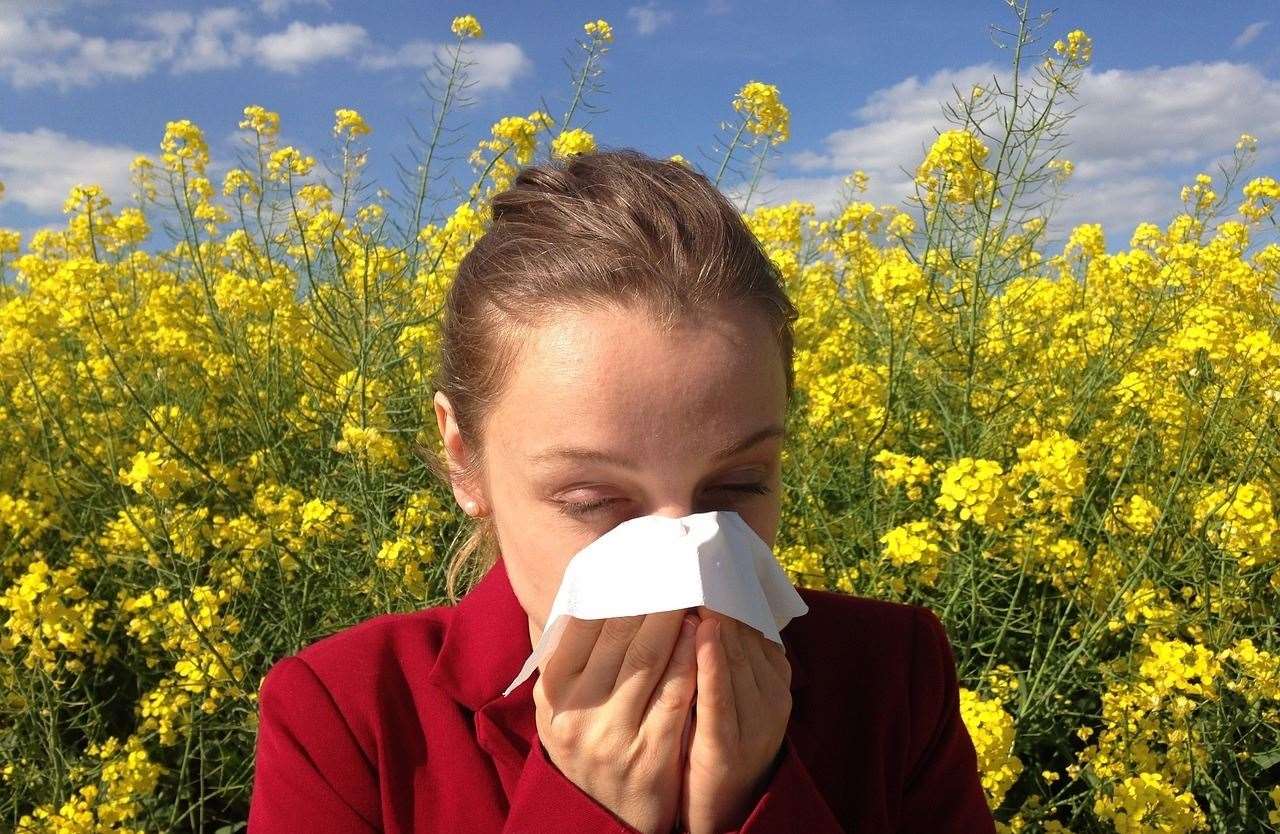 Cllr Jarrett said no thought had been given to hayfever sufferers