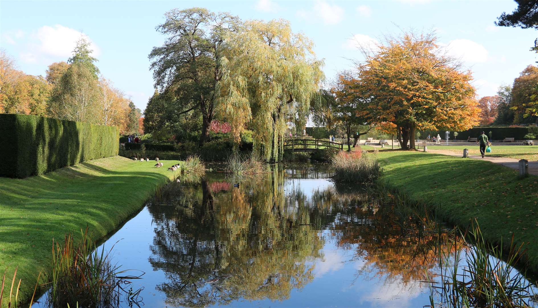 You can 'forest bathe' at Hever Castle and Gardens