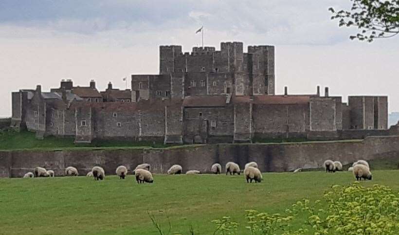 Dover Castle : a magnet for visitors.