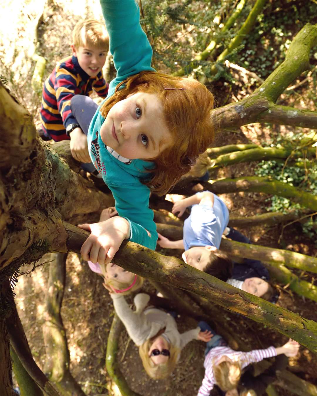 There's still plenty on for half term at National Trust properties across Kent