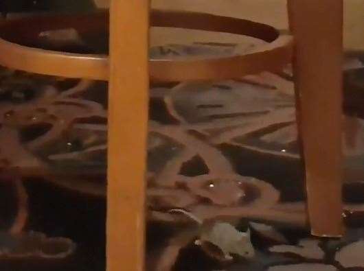 A mouse was spotted running across the carpet in The Thomas Waghorn Pub in Chatham