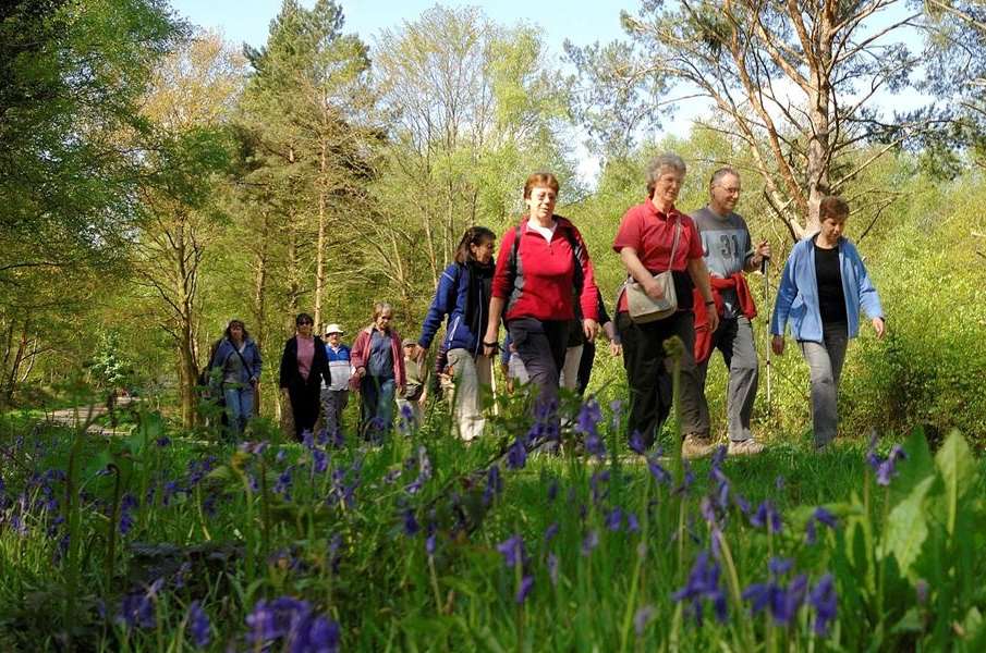 Rambles are being held across the county for Get Walking Week