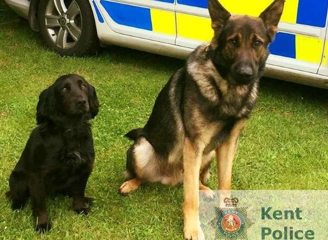 PD Parker, right, pictured with his colleague PD Vinnie. Picture: Kent Police
